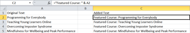 How to add text to an Excel cell with a formula.