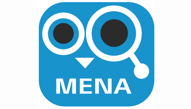 Look in MENA logo
