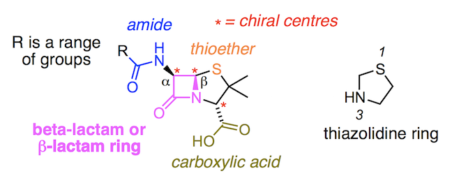 penicillin structure