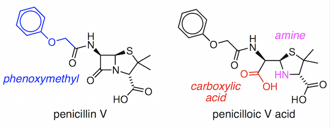 penicillin G