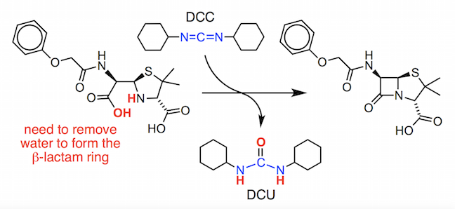 penicilloic acid precursor