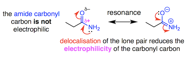 amide resonance