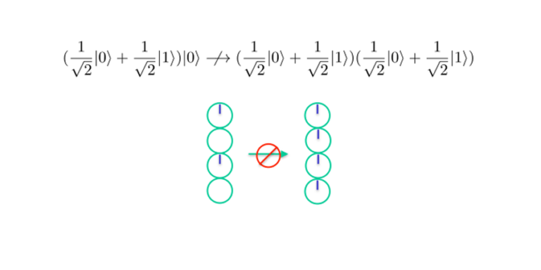 one qubit can't "copied" to another independently