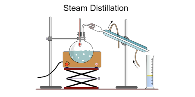 steam distillation