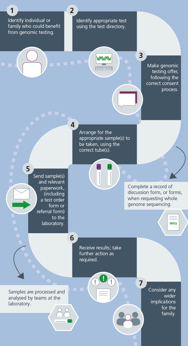 Infographic of The genomic testing pathway for rare disease
