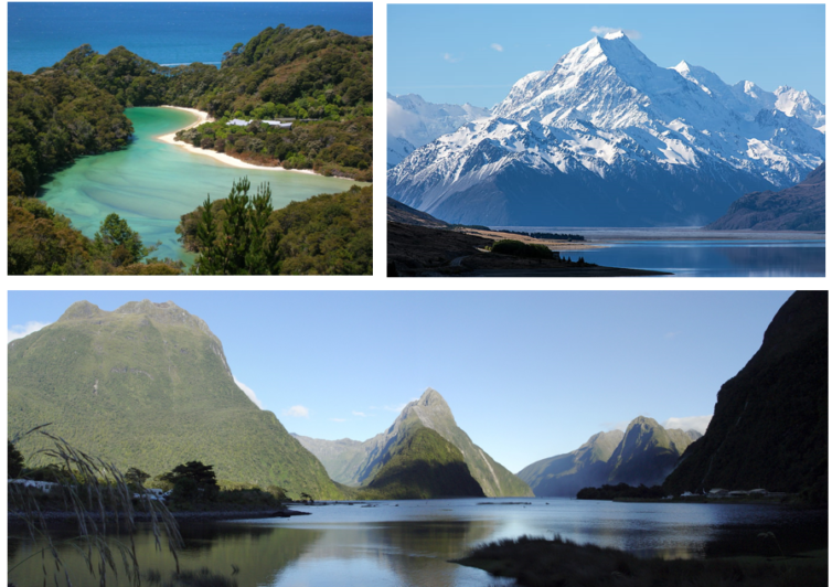 A Brief History Of New Zealand Flora And Fauna