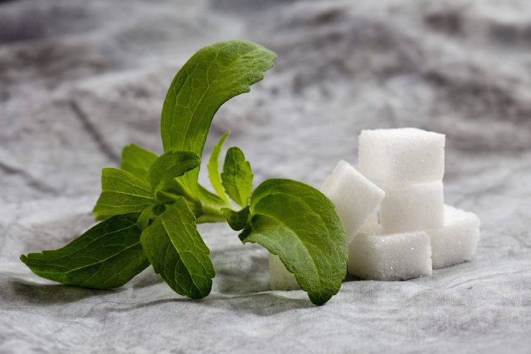 Natural Sugar Replacements