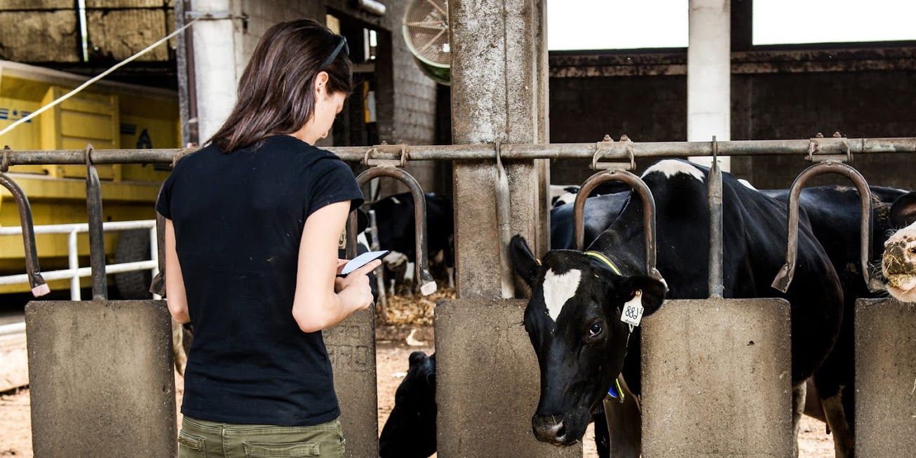 A guide to animal welfare: How to protect animals - FutureLearn