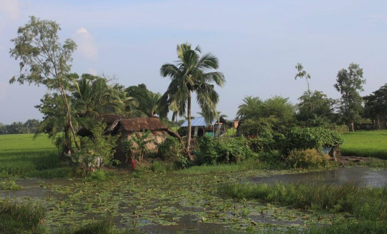 How Nature Based Adaptation Impacts Local Lives