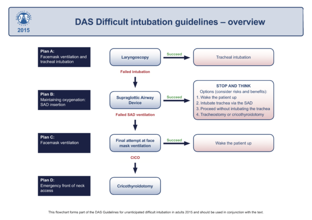 Airway Management Guidelines: Why Are They Important?