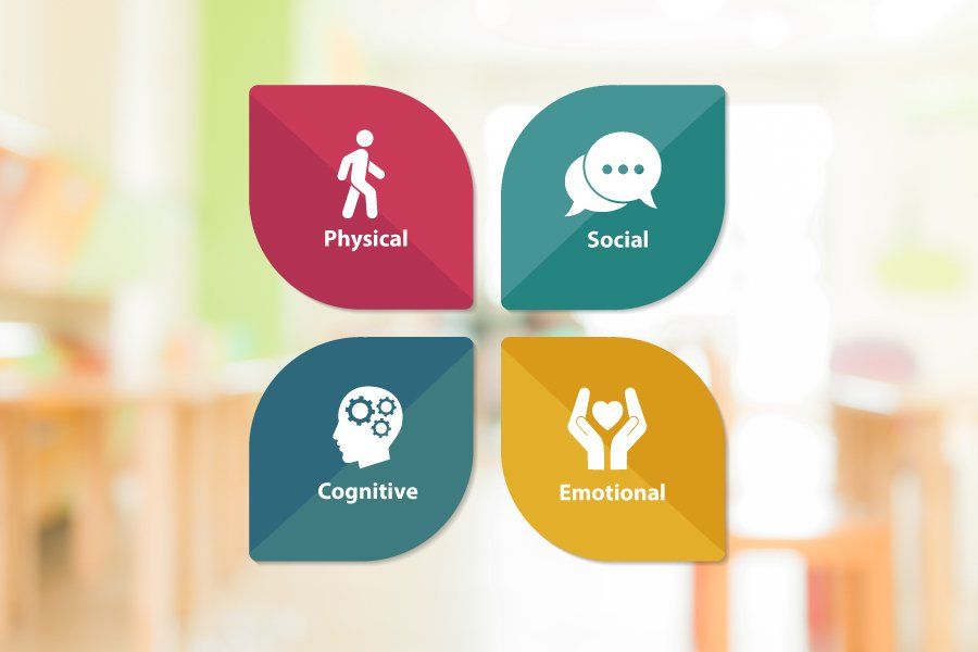 Physical Social Emotional And Cognitive Development