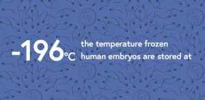 the temperature frozen embryos are stored