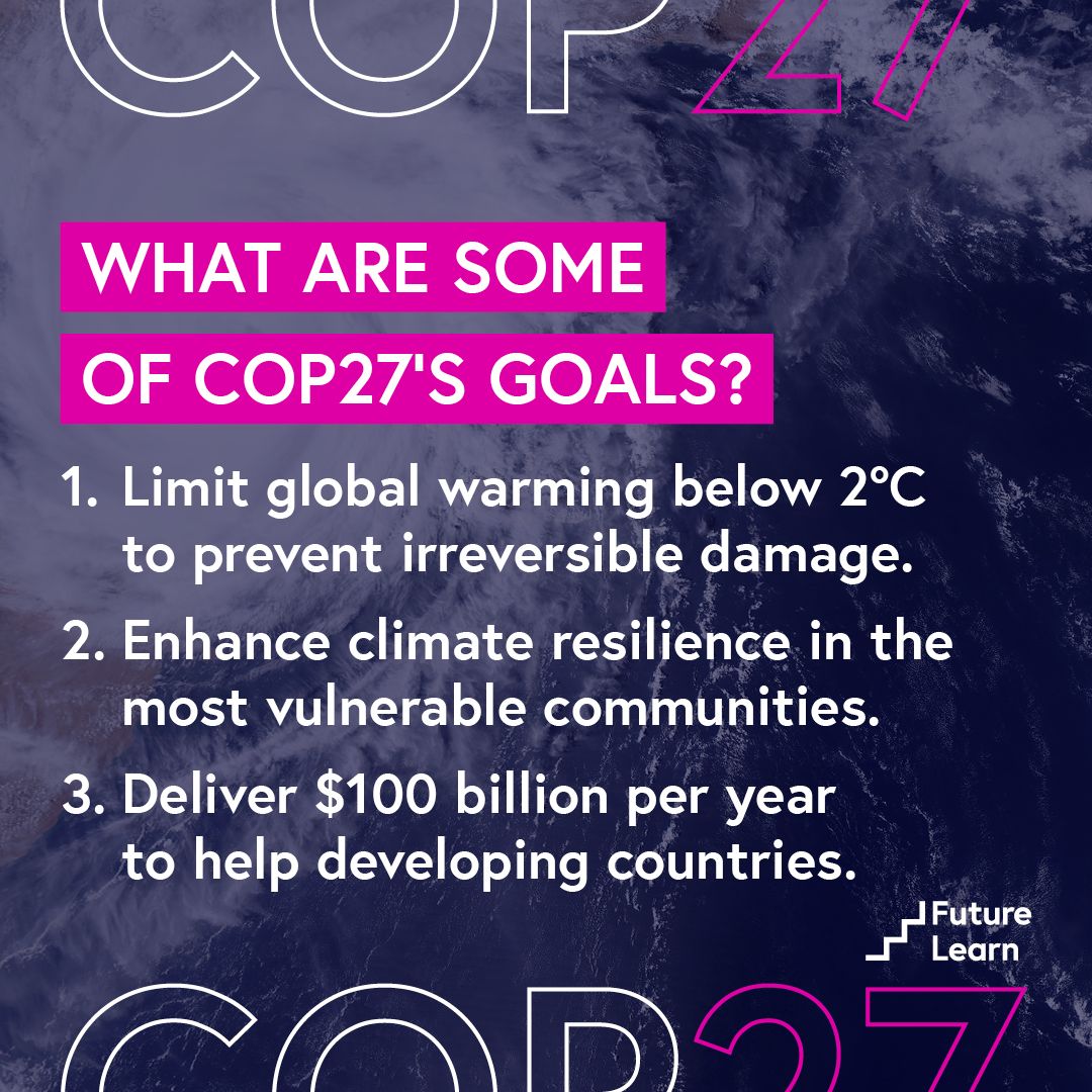 COP27 goals