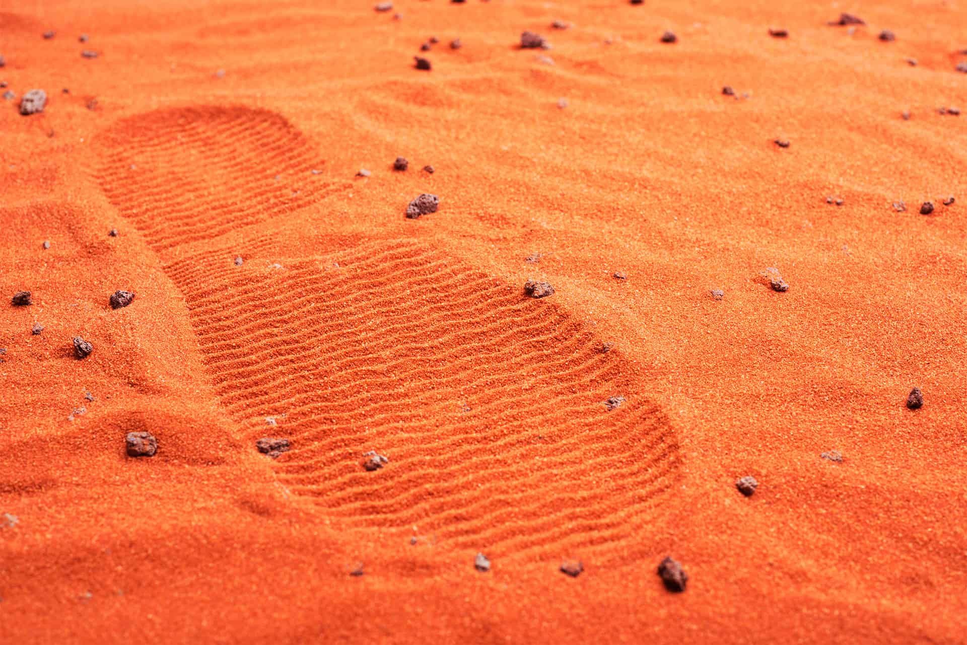 Is Elon Musk right about getting to Mars in 10 years? FutureLearn