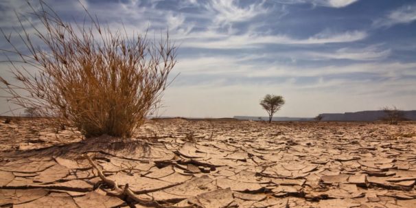 what-are-the-impacts-of-climate-change-in-nigeria-futurelearn-2023