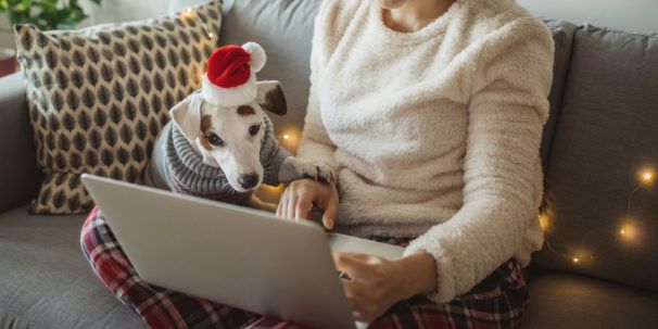 Photo of a girl using a laptop while a dog in a Christmas hat watches.
