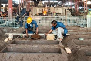 Occupational Health Developing Countries