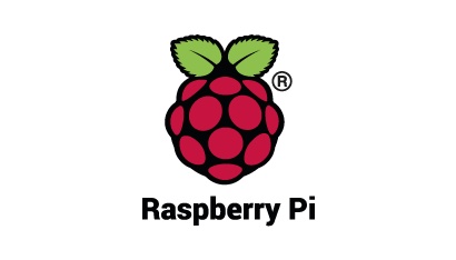 Raspberry Pi Logo 